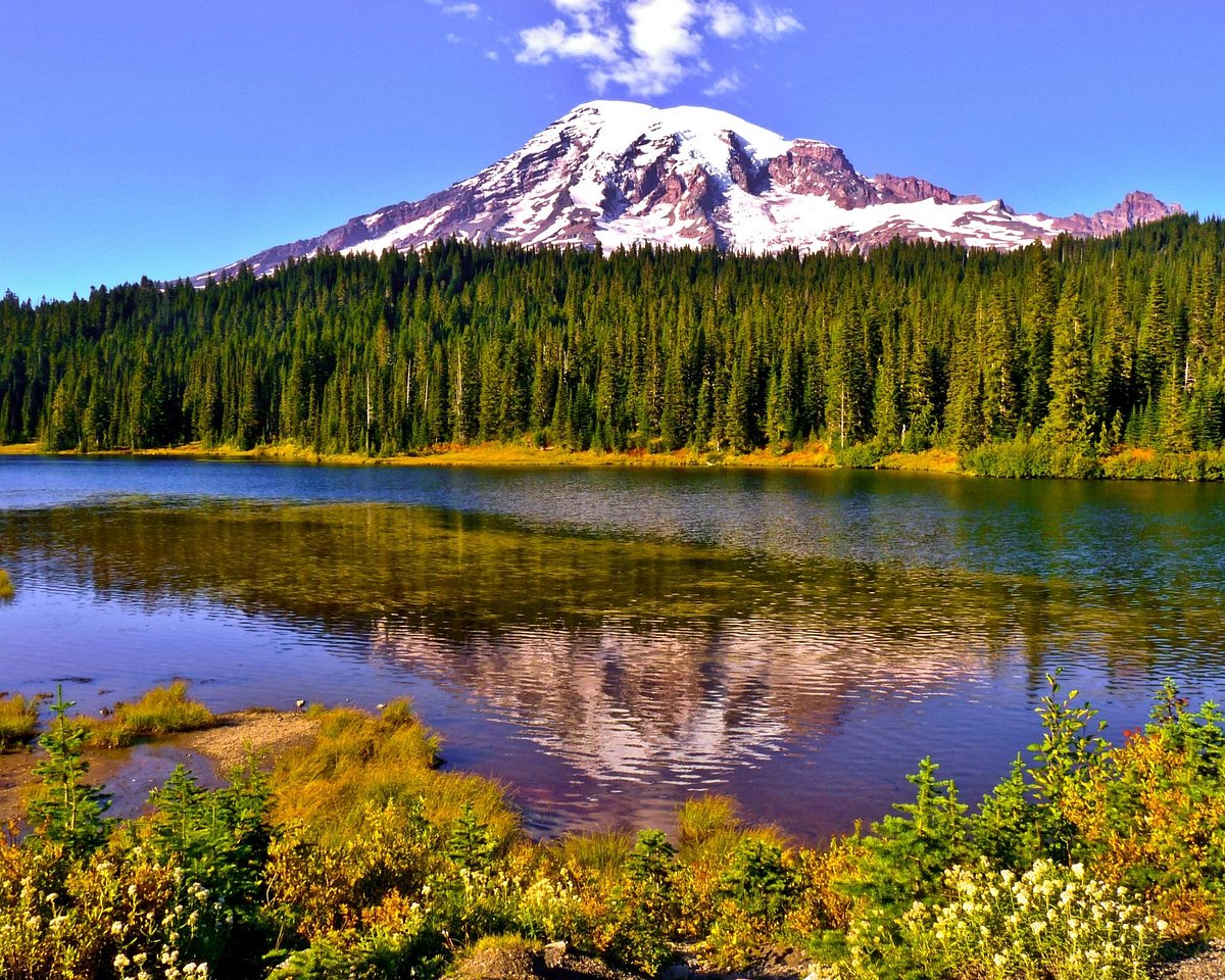 Washington