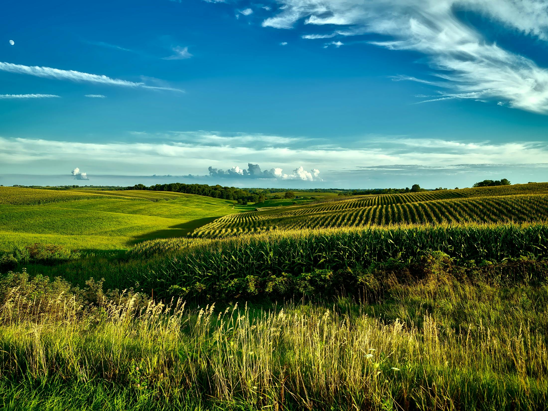 Iowa