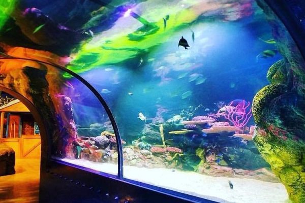 barksdale activity 3