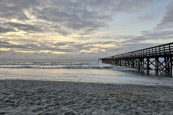 charleston activity 3