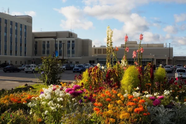 eilson hospital 2