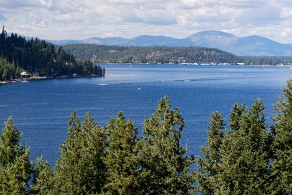 fairchild activity 3