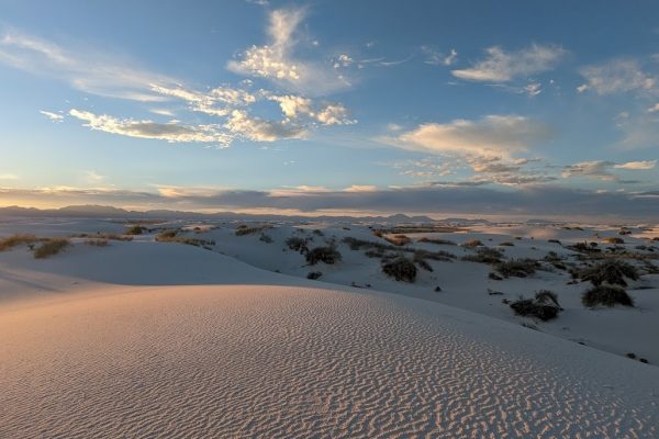 holloman neighborhood 2