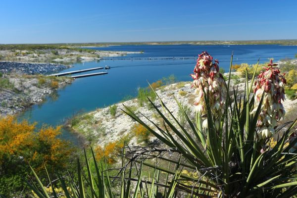 laughlin activity 1