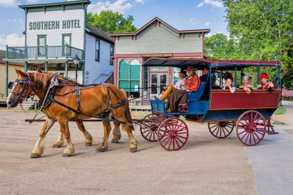 mcconnell activity 3